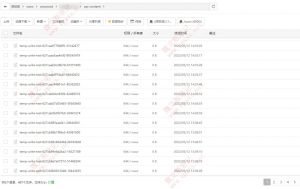 宝塔面板不断出现 temp-write-test 文件的原因及解决办法-Ferry资源网