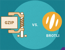 Brotli 和 Gzip 压缩算法是什么及二者的区别 用来加速网站-Ferry资源网