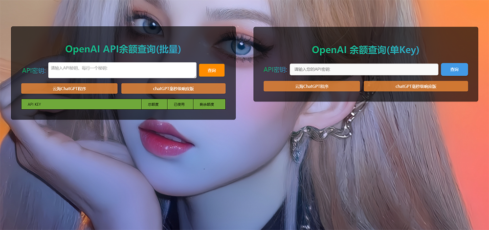 ChatGPT在线查询余额小工具源码-Ferry资源网