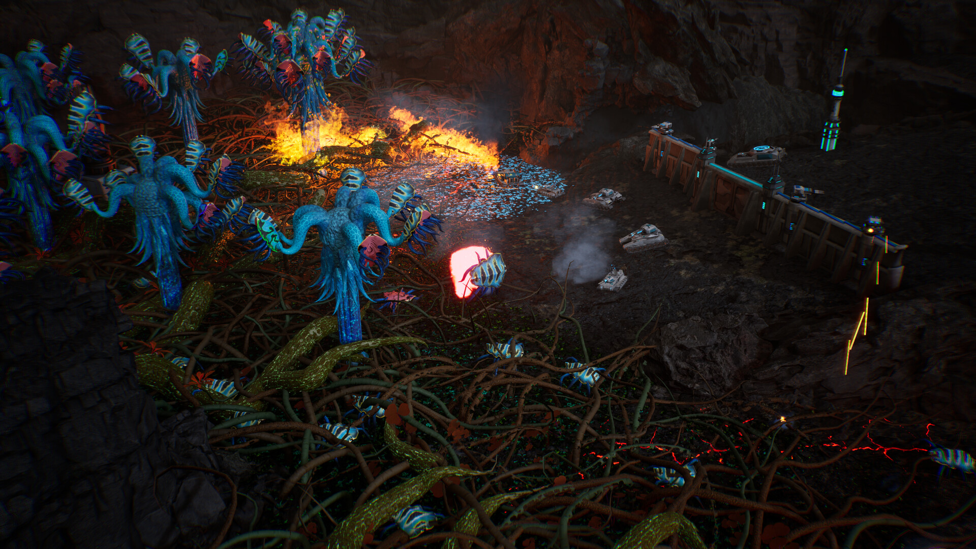 星萼/Calyx-Ferry资源网