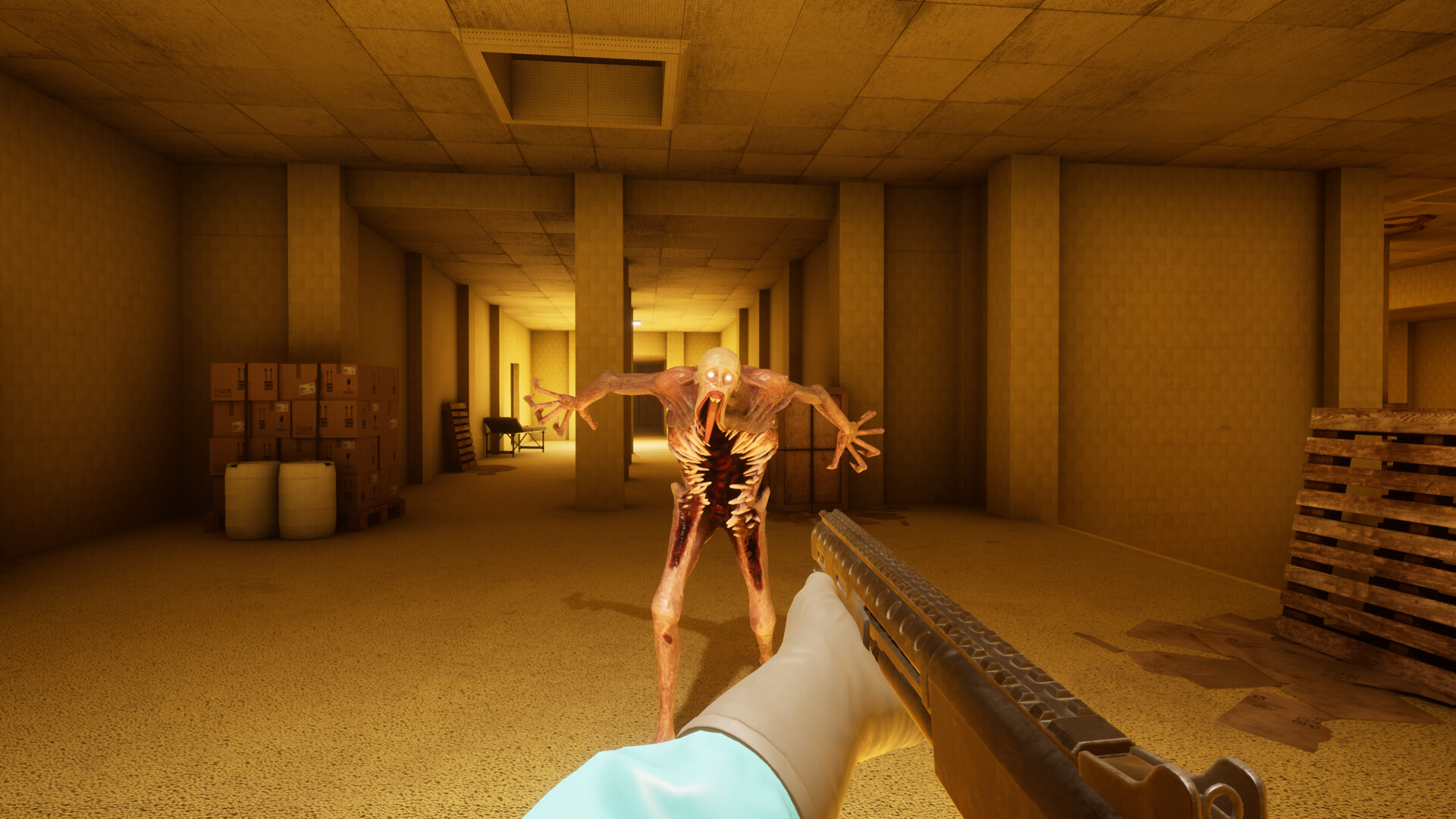 BACKROOMS: 恐惧/BACKROOMS: APPREHENSION-Ferry资源网