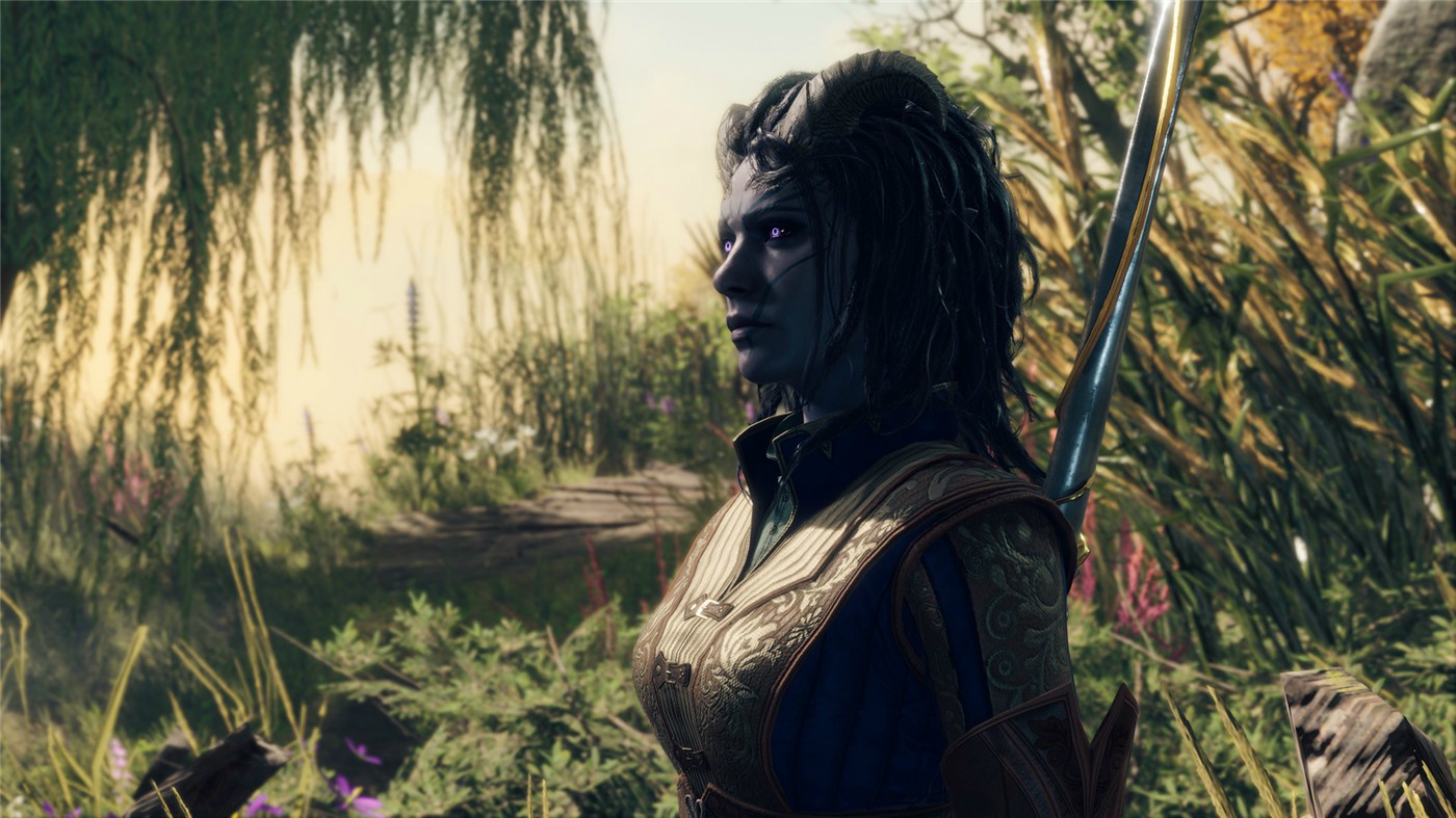 《博德之门3》v4.1.1.6072089正式版-趣奇资源网-第10张图片