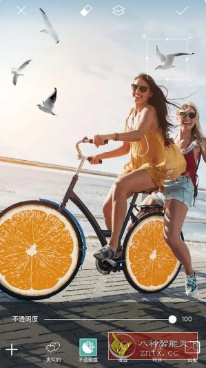 Picsart美易 v27.8.6高级版-Ferry资源网