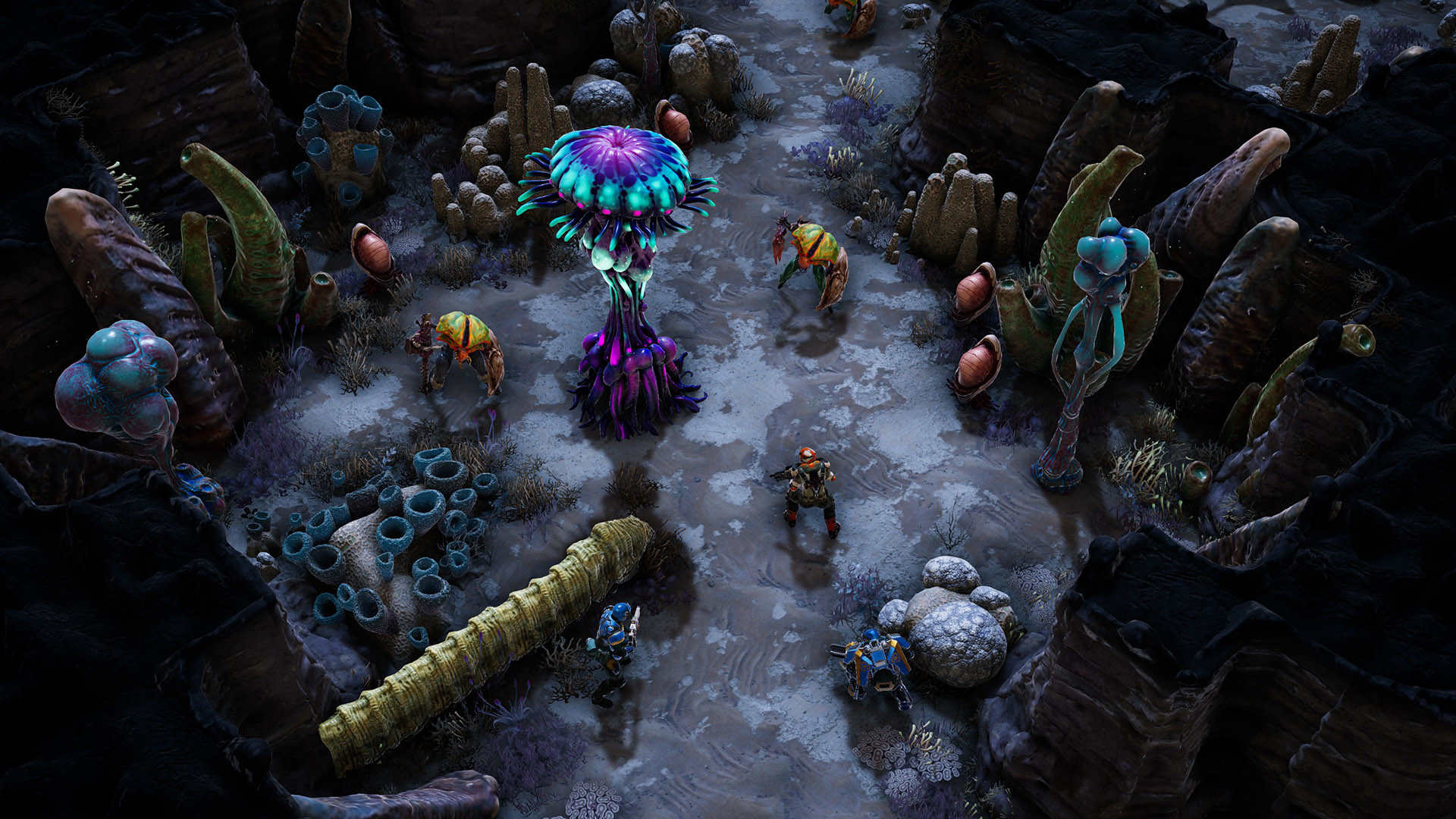 凤凰点：周年版/Phoenix Point: Year One Edition-Ferry资源网