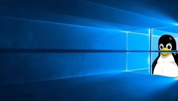 linux和windows软件一样吗-Ferry资源网
