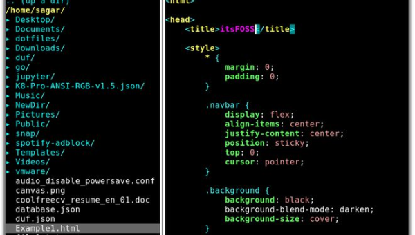 Vim Vanilla vs Neovim:传统编辑器与现代分支的差异