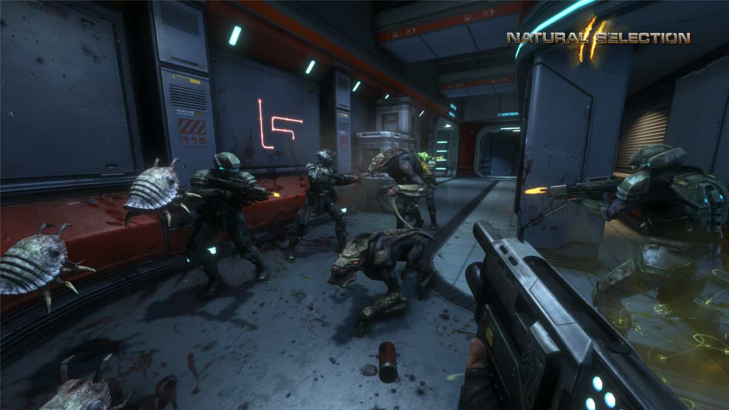 《物竞天择2》Build.344原版英文-趣奇资源网-第6张图片