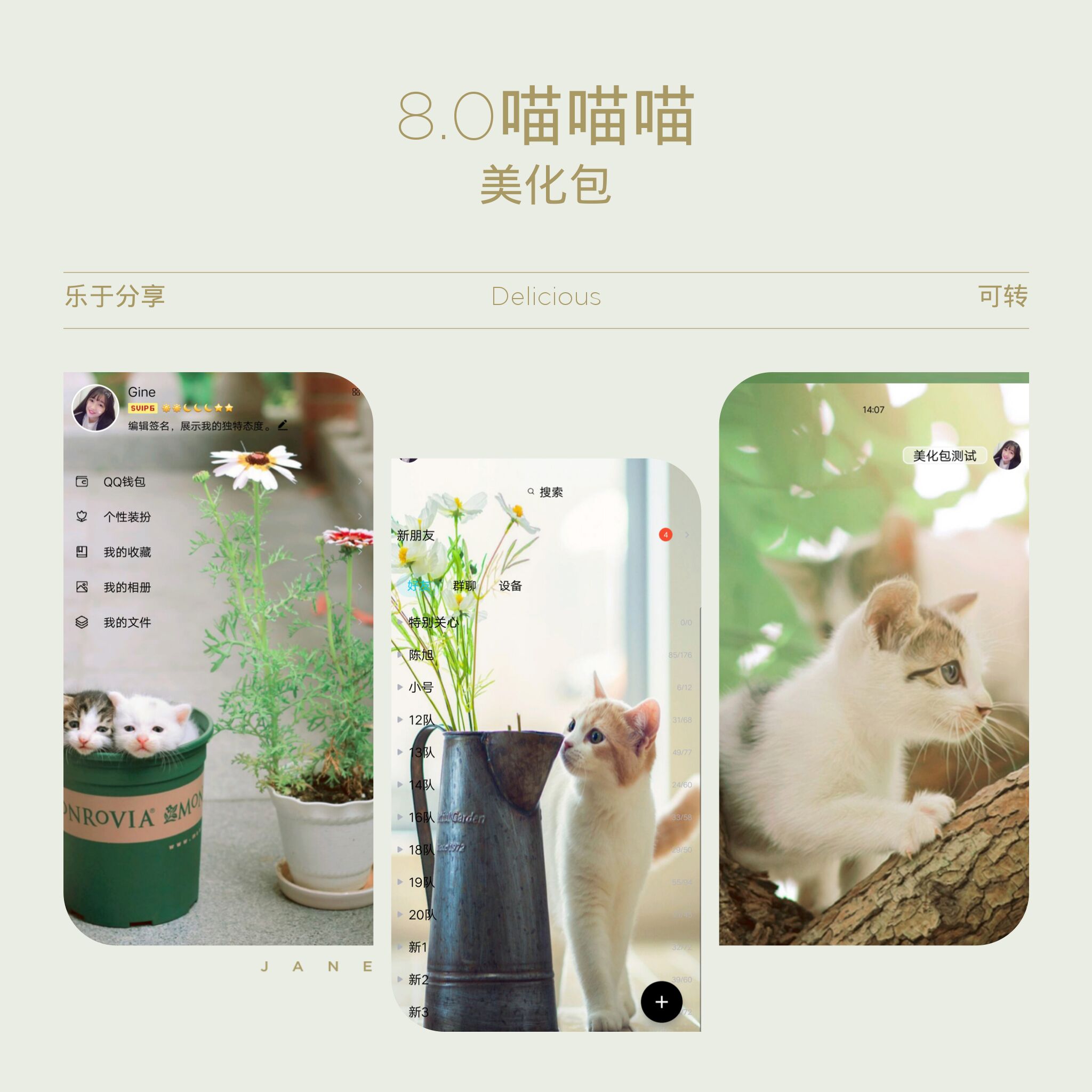 QQ美化包V8.0喵喵多功能漂亮-Ferry资源网