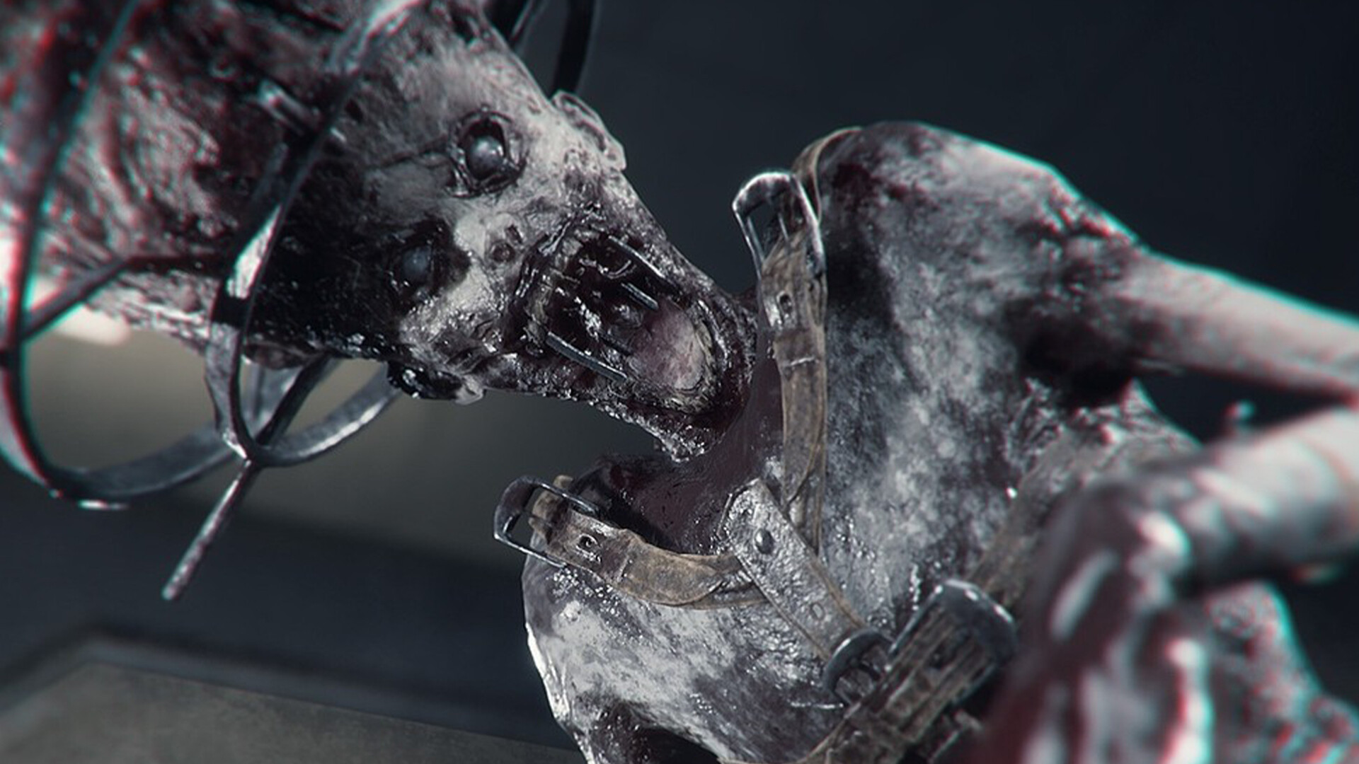 绿光/The Green Light