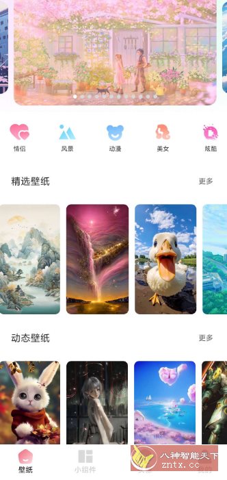 91熊猫桌面主题v1.0.5高级版-Ferry资源网