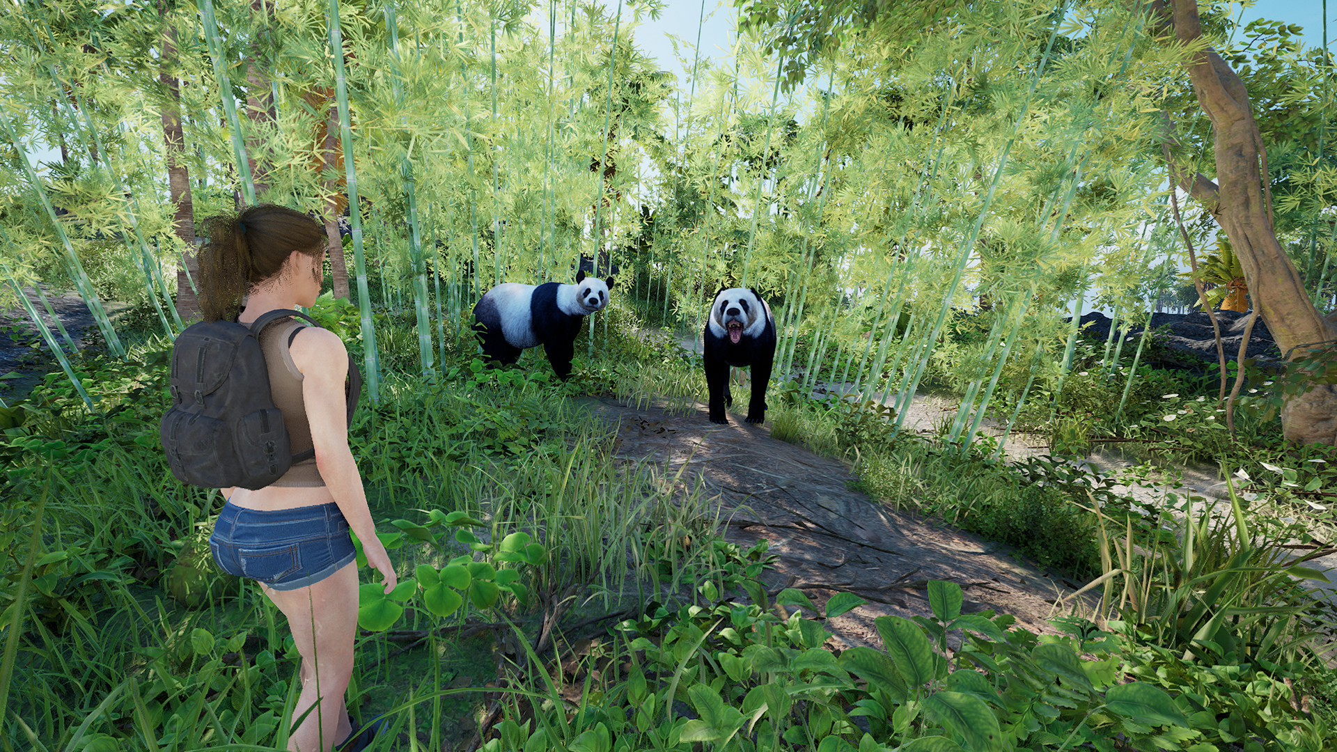 伊甸岛/Eden Island-Ferry资源网