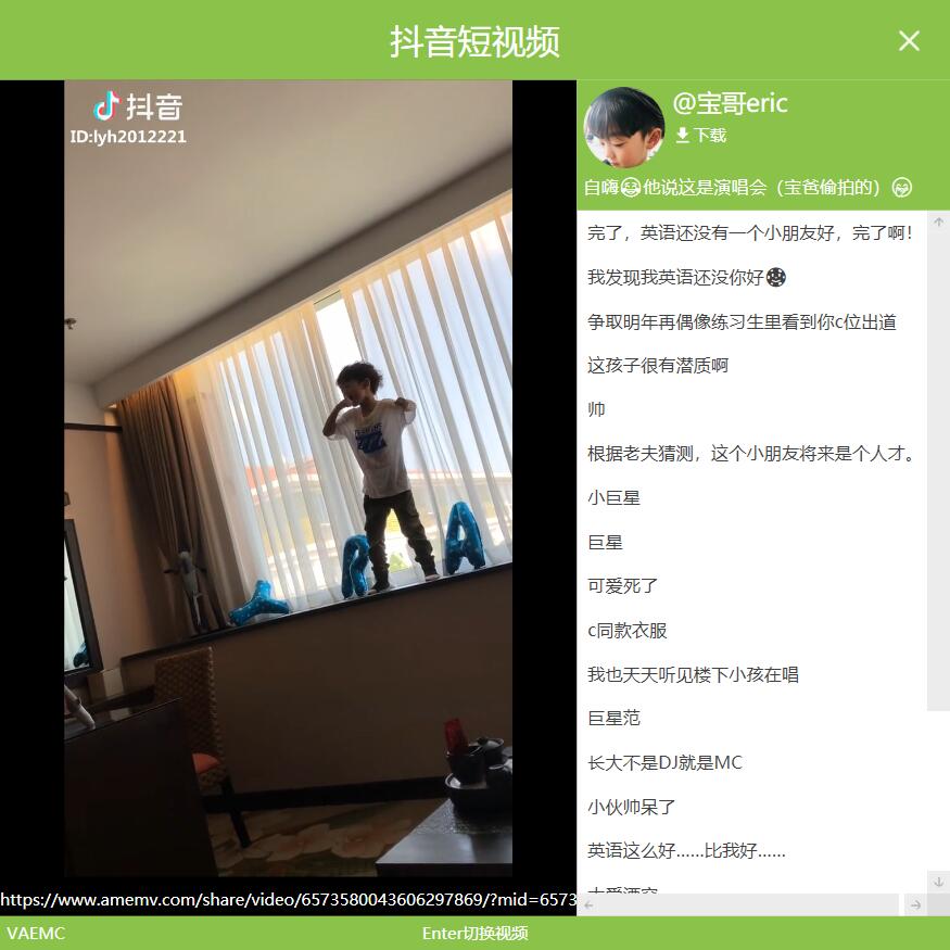 电脑看抖音绿色小工具VTiktok-Ferry资源网