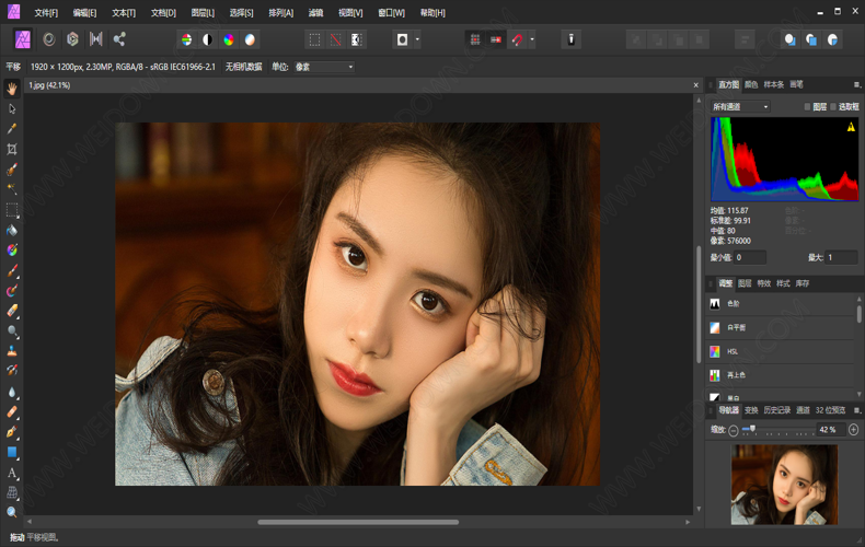 Affinity Designer2 v2.6.2.3228绿色版-Ferry资源网
