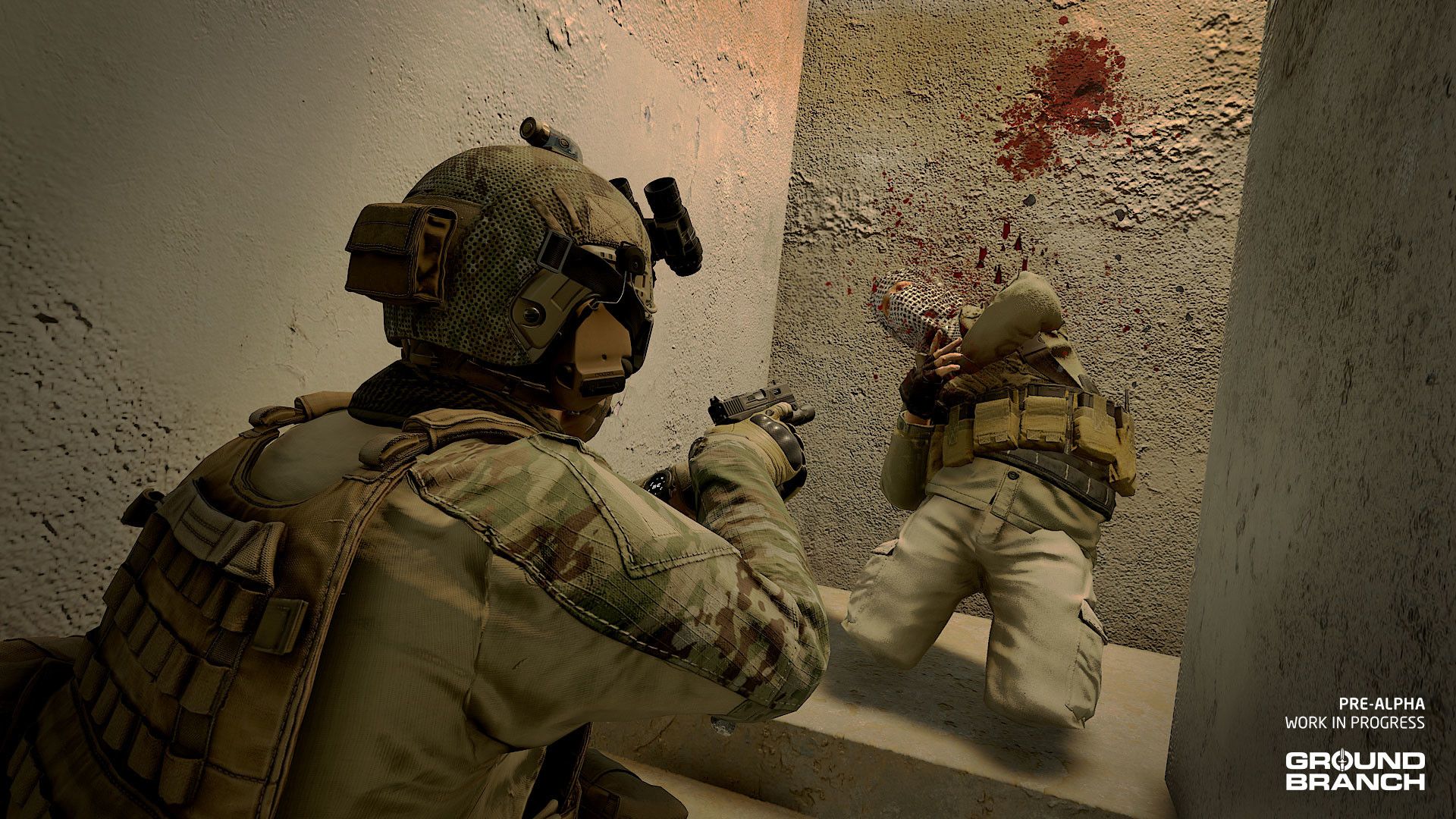 地面部队/GROUND BRANCH-Ferry资源网