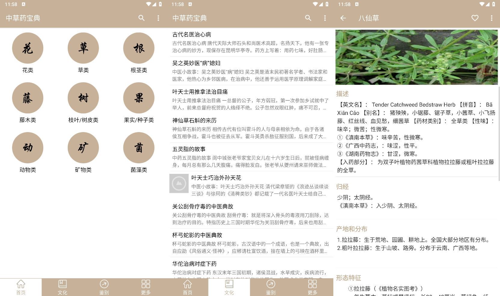 安卓中草药宝典v2.6.12纯净版-Ferry资源网