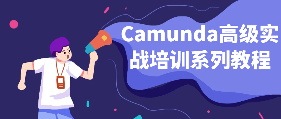 Camunda高级实战培训系列教程-Ferry资源网
