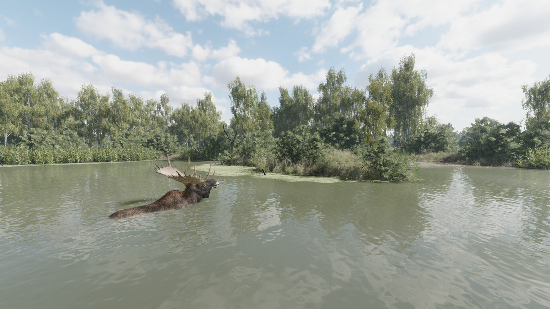 猎捕行动/On the Hunt-Ferry资源网