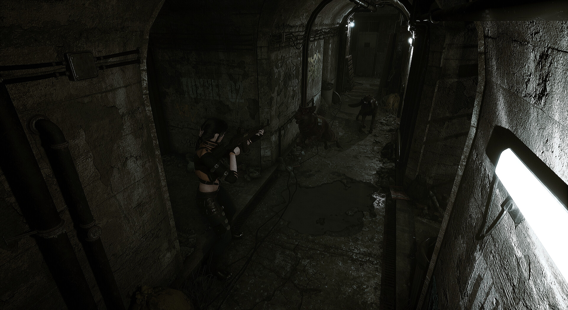 生者回响/Echoes of the Living-Ferry资源网