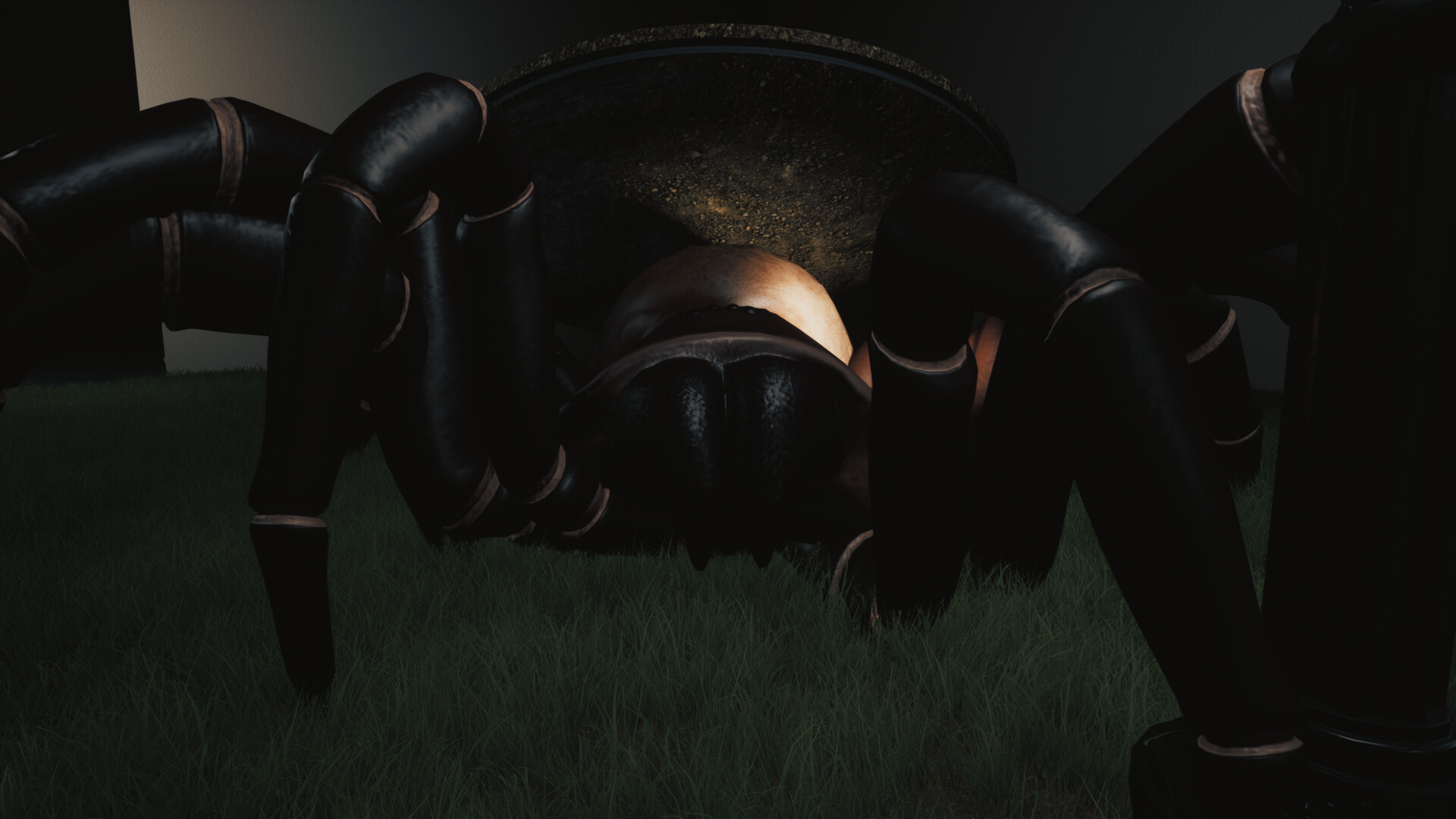 巨蛛猎手/Huntsman-Ferry资源网