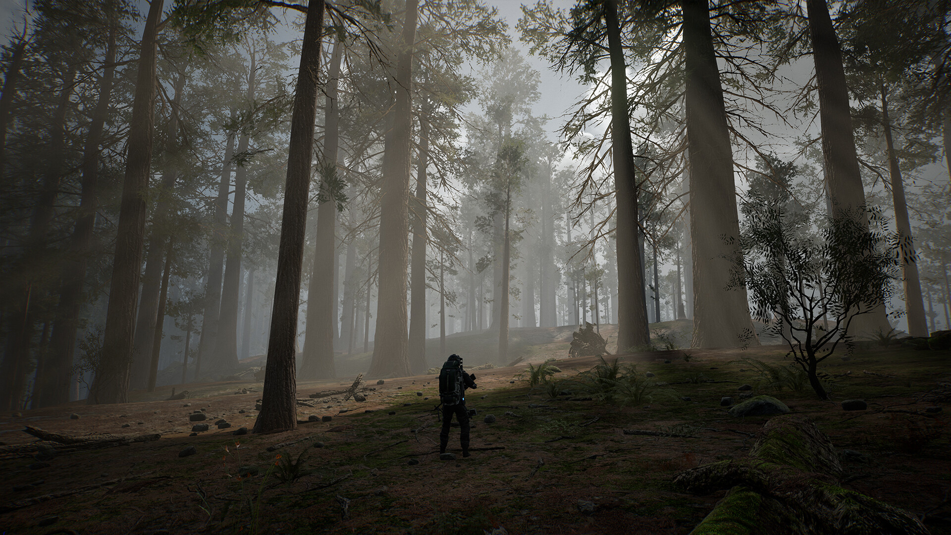 生命效应/LIFE EFFECT-Ferry资源网