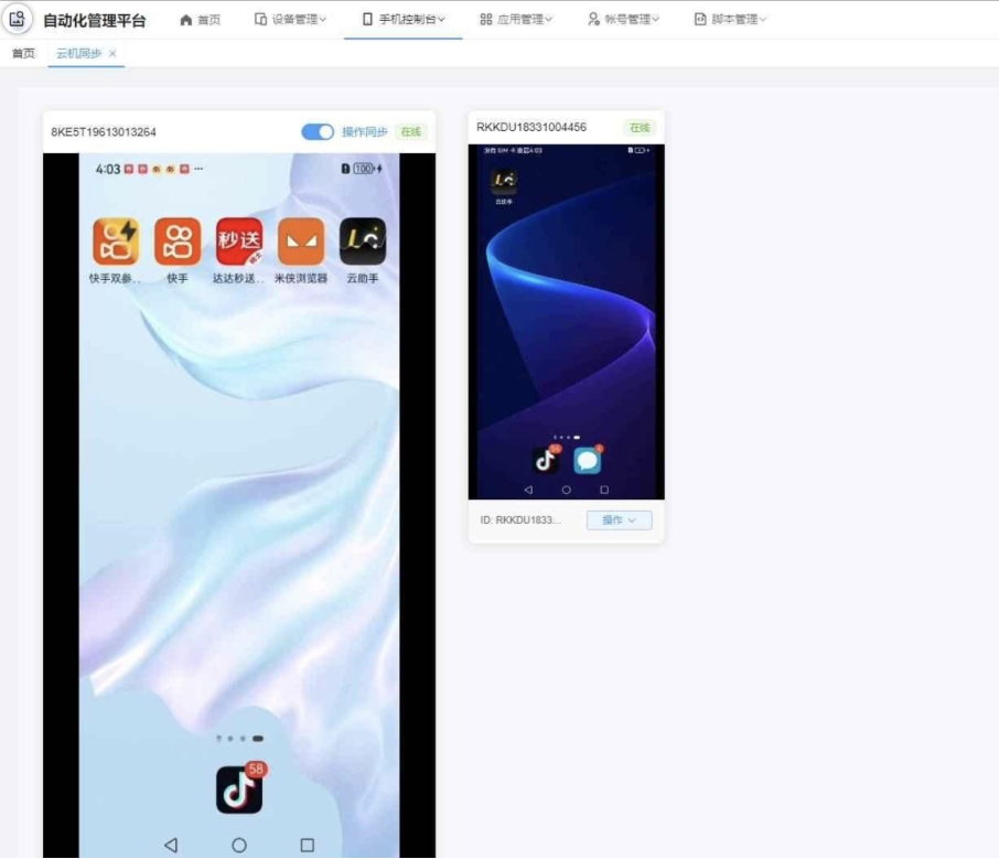 云手机群控系统源码 云手机多开群控 自动化管理程序源码-Ferry资源网