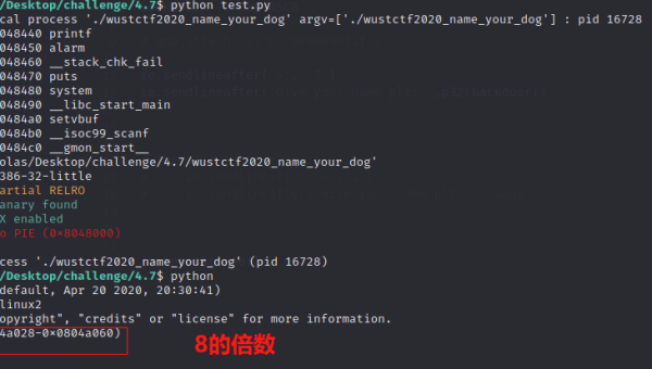 GCC 堆栈溢出保护:-fstack-clash-protection 选项深度解析