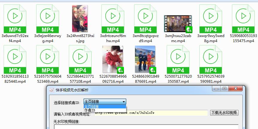 快手批量无水印下载器PC版-Ferry资源网