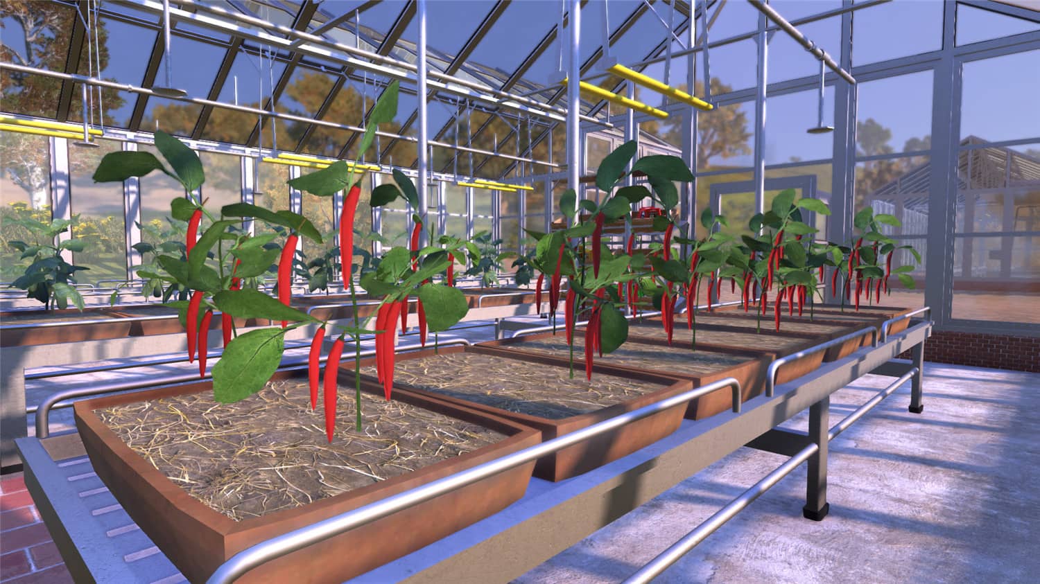 《农夫王朝》v1.07中文版-趣奇资源网-第10张图片