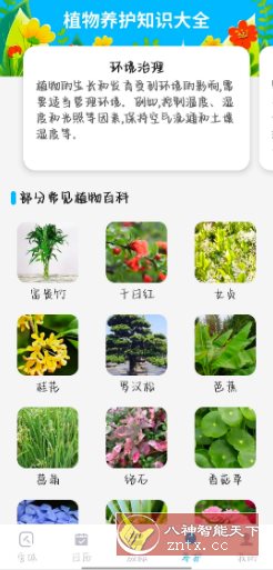 手机文字放大v1.0.1高级版-Ferry资源网