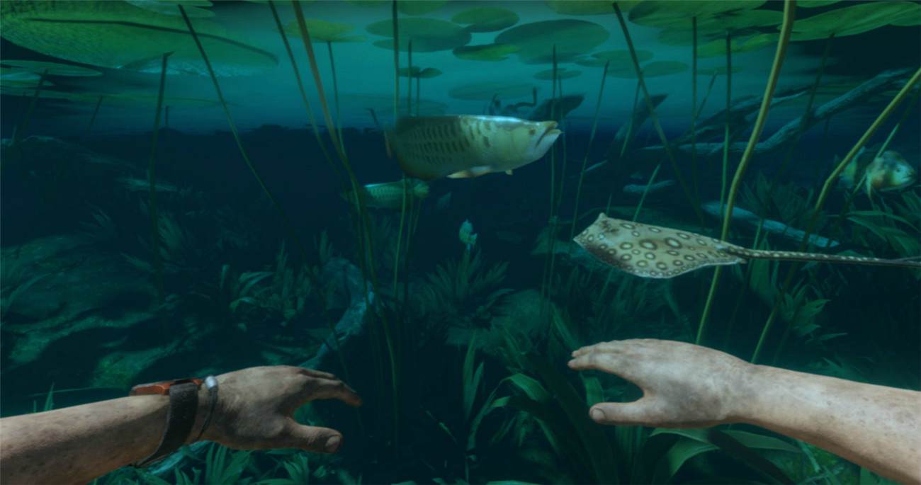 《绿色地狱》v2.5.2中文版-趣奇资源网-第12张图片