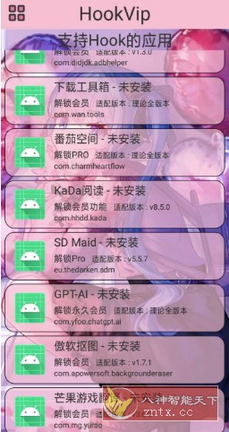 HookVip 软件vip解锁模块4.1.3-Ferry资源网