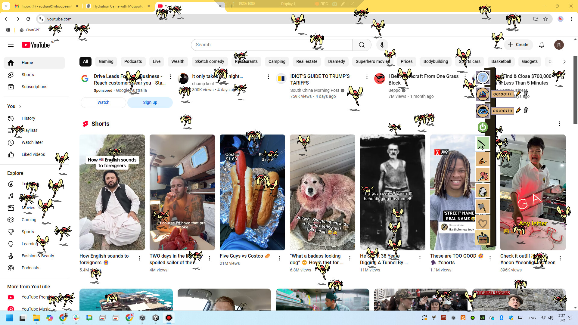 走开！/Buzz Off!-Ferry资源网