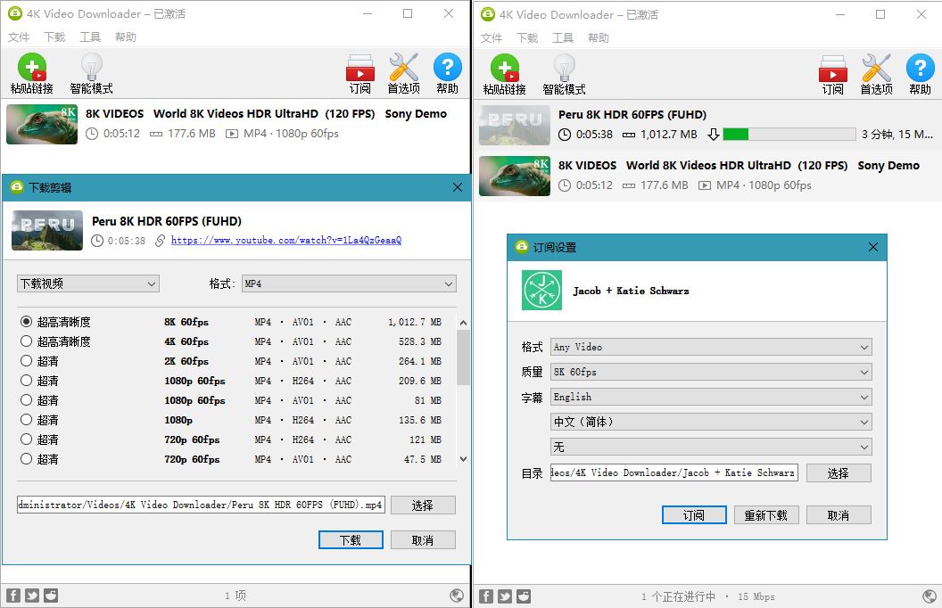4K Video Downloader v4.33.2.0164-Ferry资源网