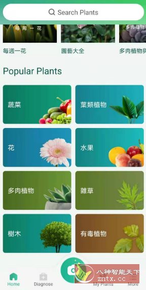 PictureThis 植物识别v5.13.0专业版-Ferry资源网