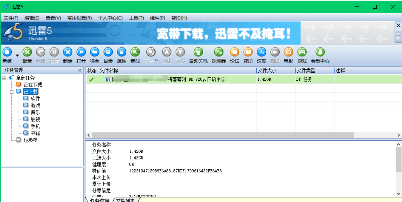 PC版迅雷5绿色win10防敏感-Ferry资源网