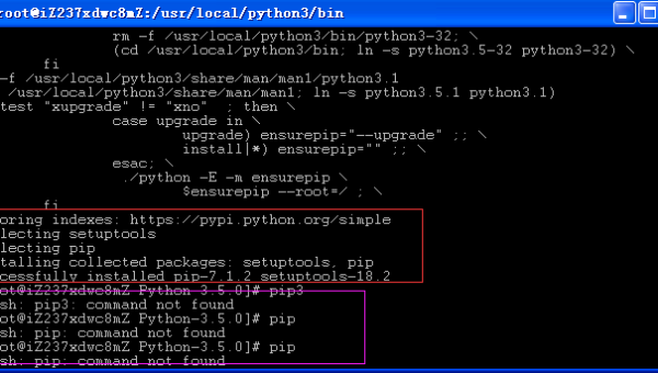 Python 装饰器元数据保留:functools.wraps 的底层实现