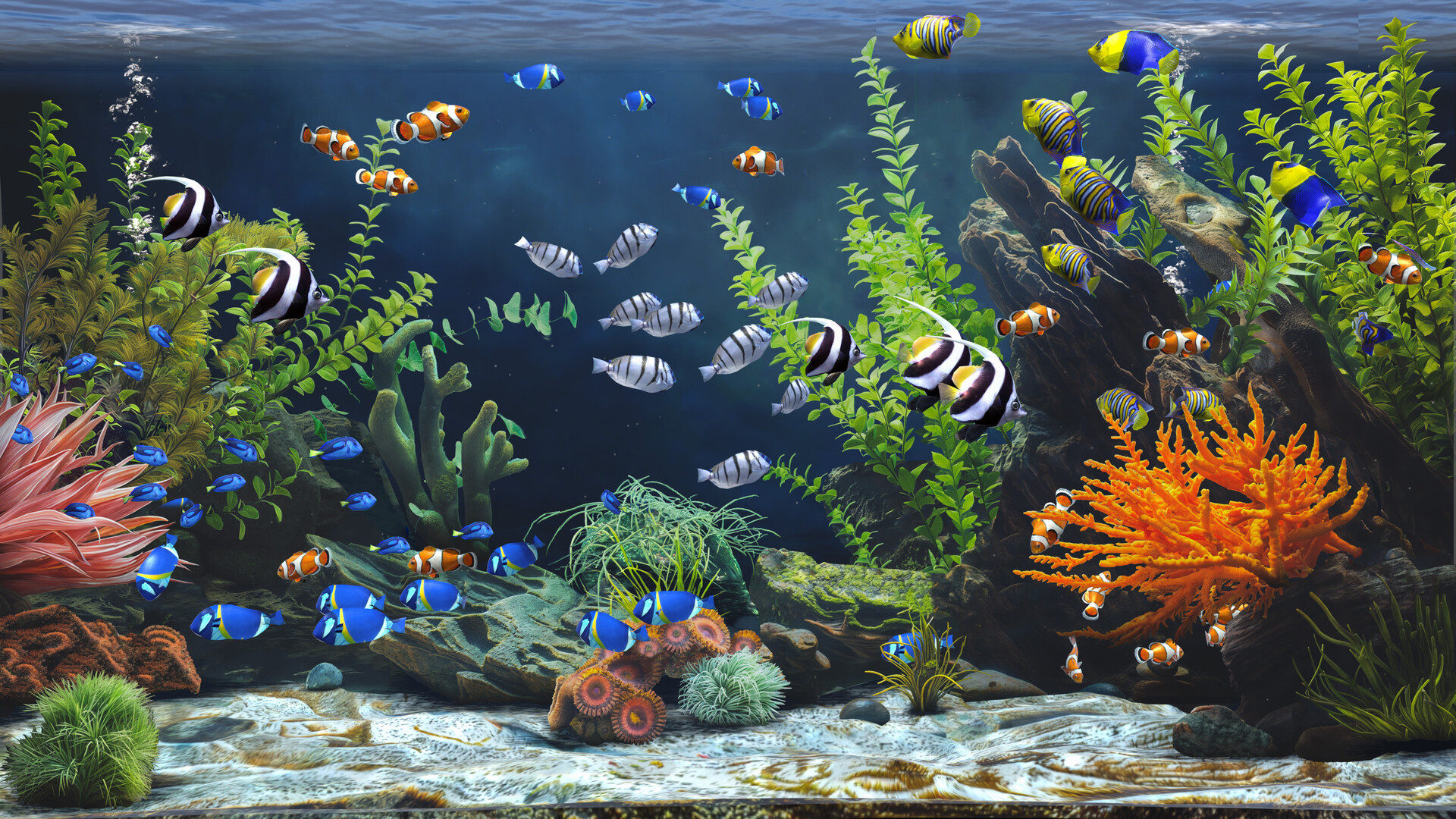 禅意水族馆/Zen Aquarium-Ferry资源网