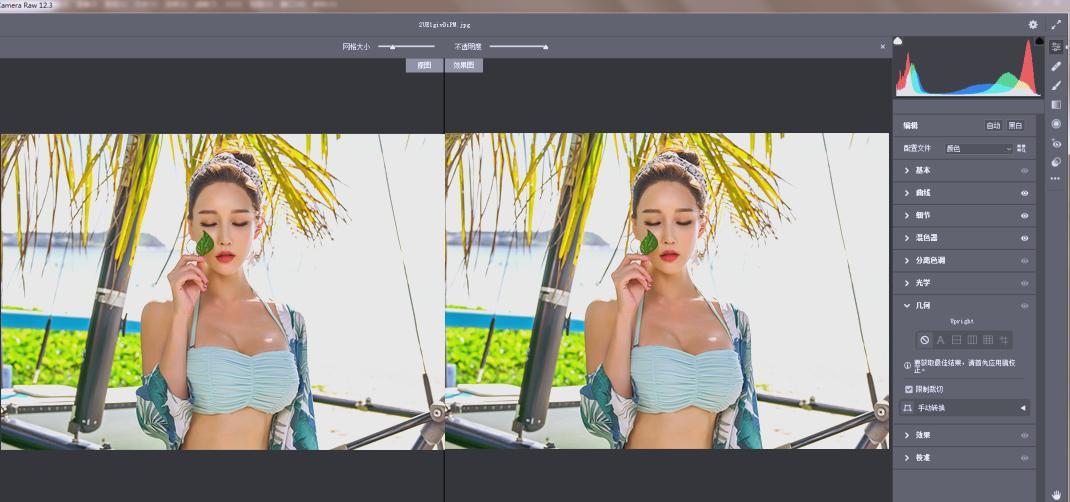 RAW处理Adobe Camera Raw v18.3.0中文版-Ferry资源网