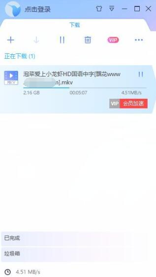 PC迅雷SVIP破解版登录任号-Ferry资源网