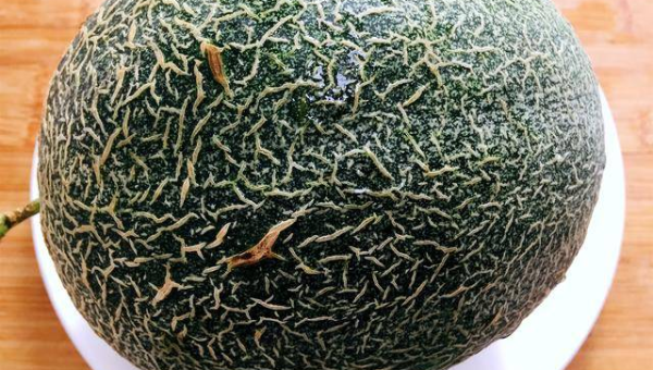 GitHub Copilot 多模态输出：生成 UML 类图与序列图-Ferry资源网