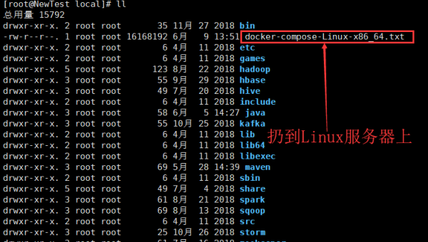 Docker 容器文件权限错误:用户 ID 映射与 Volume 模式选择