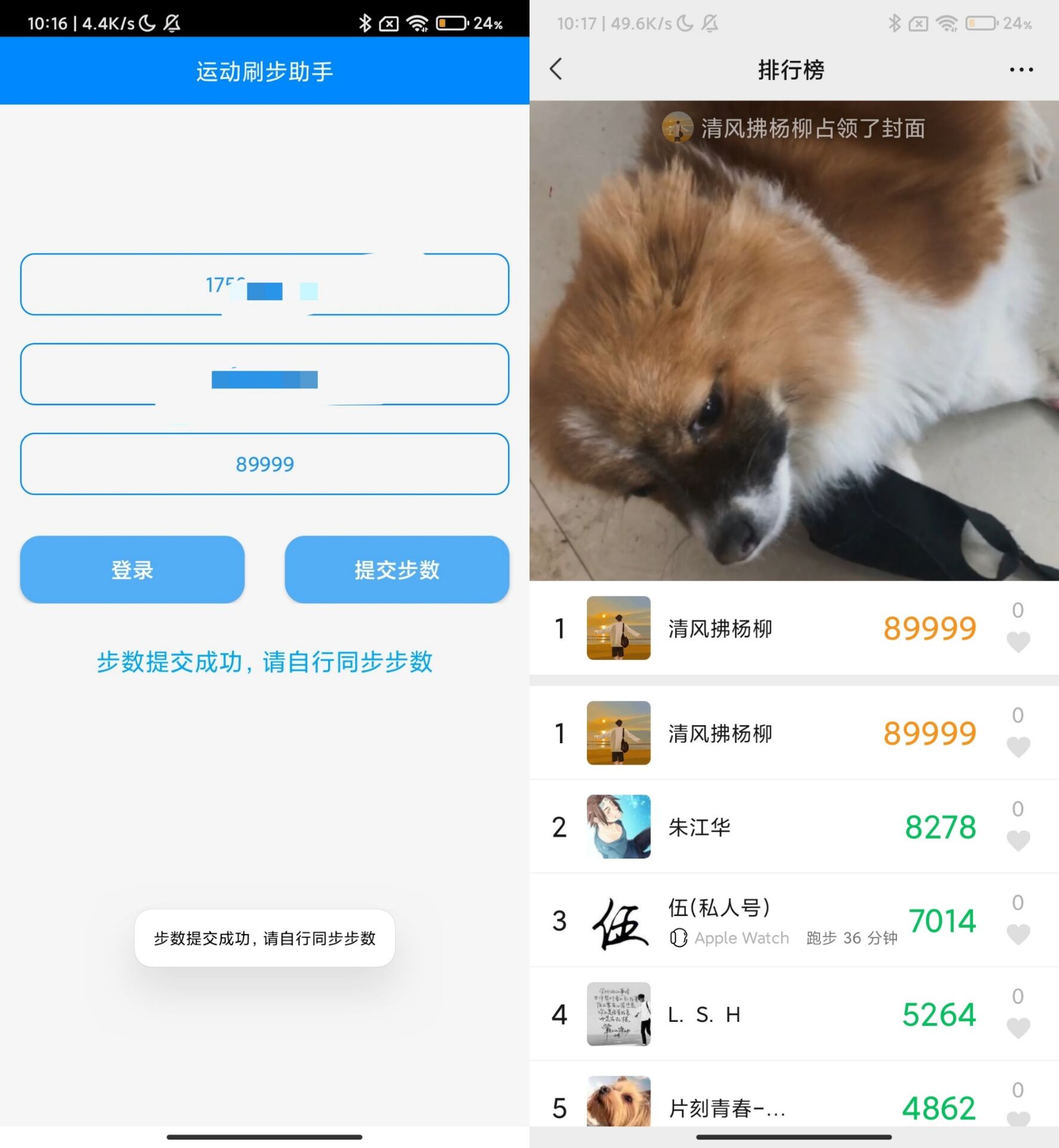 布偶步数助手 支持QQ微信支付宝-Ferry资源网