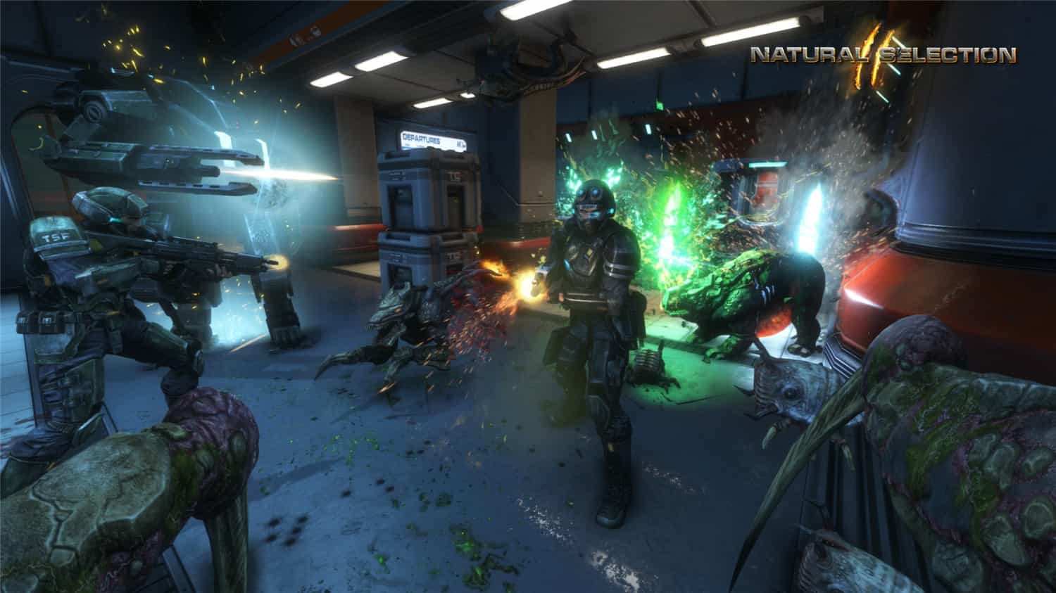 《物竞天择2》Build.344原版英文-Ferry资源网