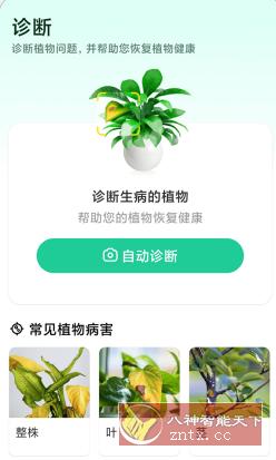 Plant Parent 植物养护v1.100高级版-Ferry资源网