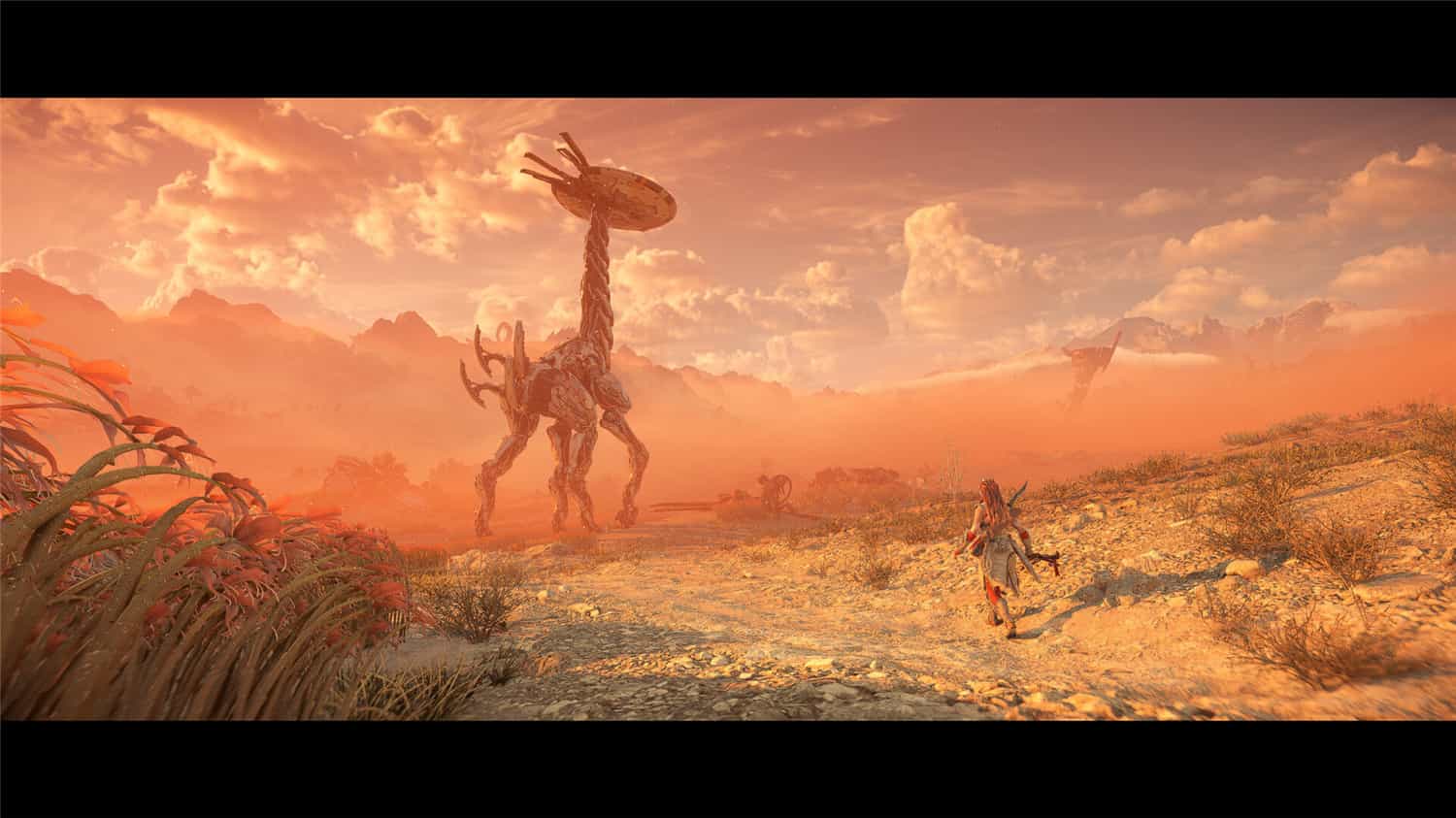 《地平线西之绝境》v1.4.80完整版-趣奇资源网-第7张图片 《地平线西之绝境》v1.4.80完整版-趣奇资源网-第7张图片