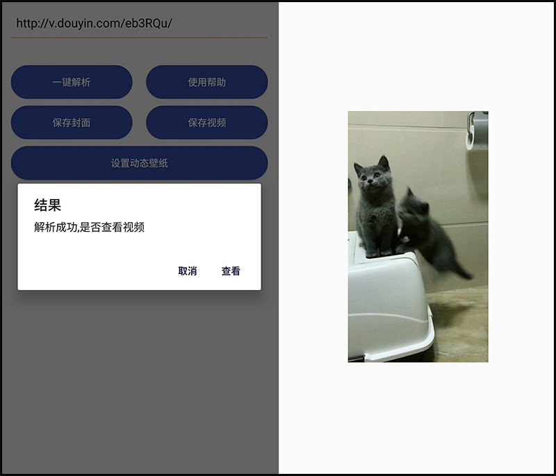 最新抖音去水印解析 永久可用-Ferry资源网