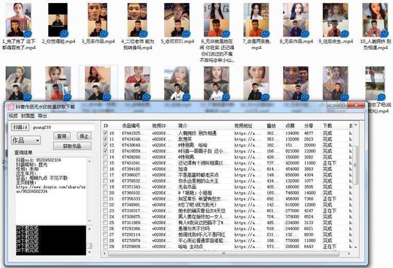PC版抖音作品批量去水印器-Ferry资源网