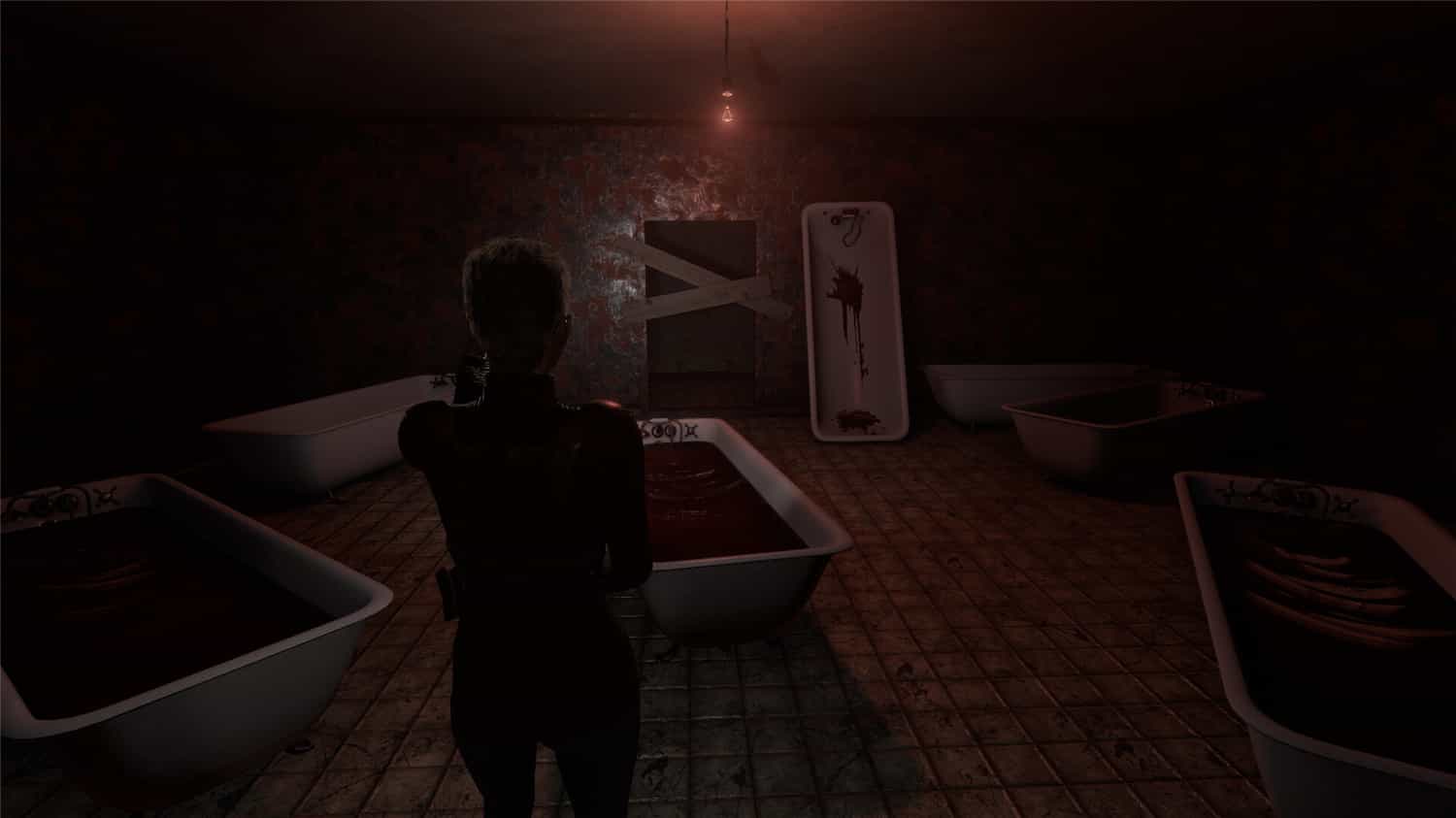 《塞琳娜的不眠夜》v1.0.0中文版-Ferry资源网