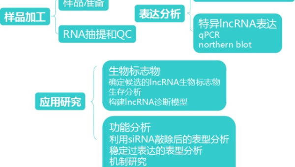 数据库事务处理面试题关键思路-Ferry资源网
