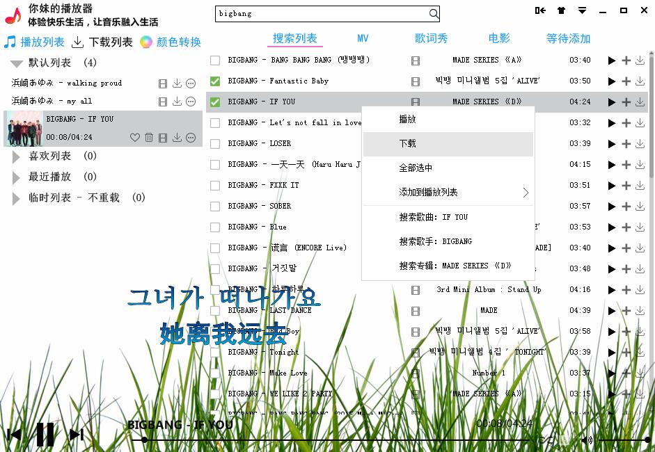 你妹的播放器全套源码功能齐全-Ferry资源网